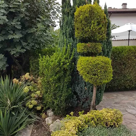 Self -contained Part Of A House With Garden Apartment *