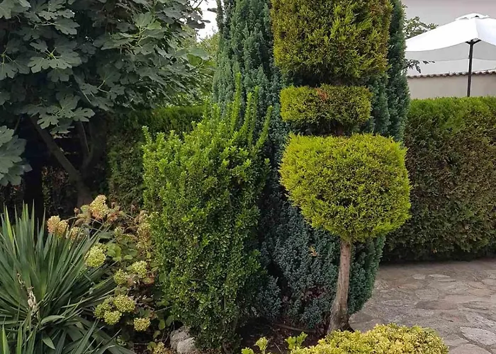 Self -contained Part Of A House With Garden Apartment *